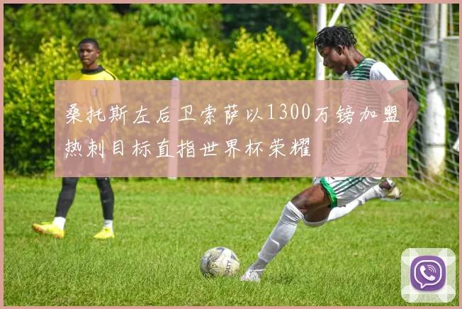 桑托斯左后卫索萨以1300万镑加盟热刺目标直指世界杯荣耀